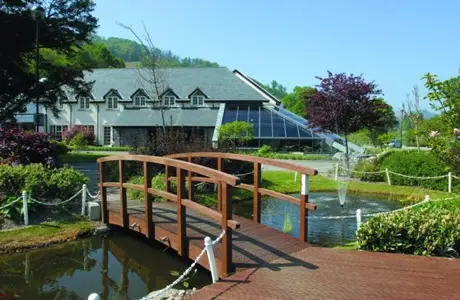 Wild Pheasant Hotel Llangollen