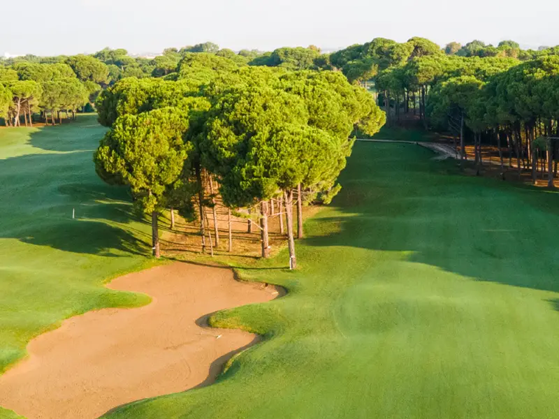 Pines Course - Sueno Golf Club - Belek